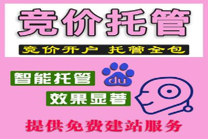 SEM优化技巧：实战案例深度剖析